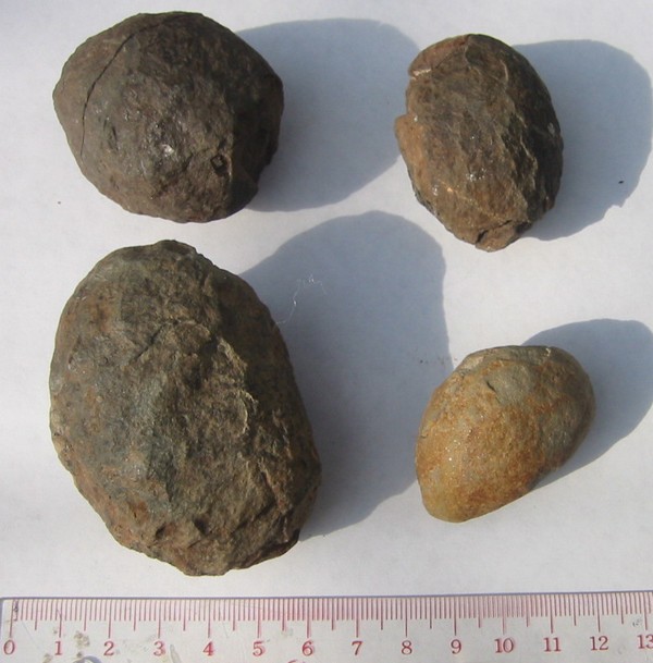 nodule1